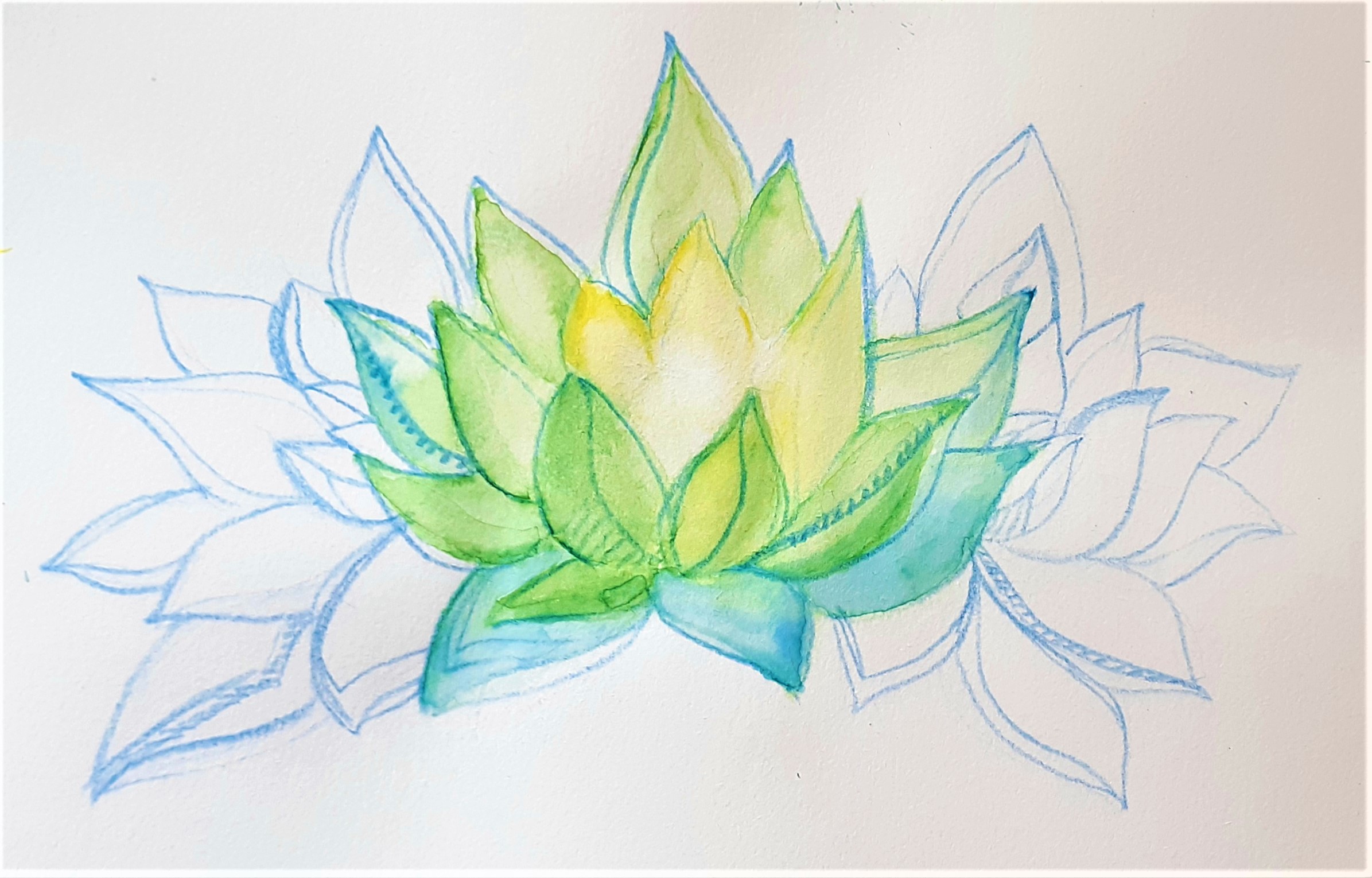 Lotus